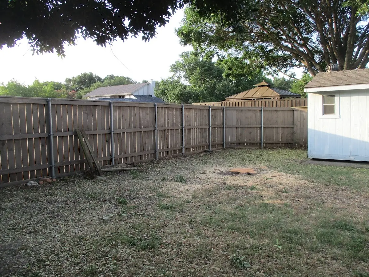 Cleared yard after professional tree removal in Hauppauge