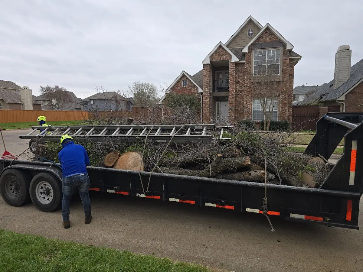 Expert Tree Removal with proper safety equipment in Hauppauge